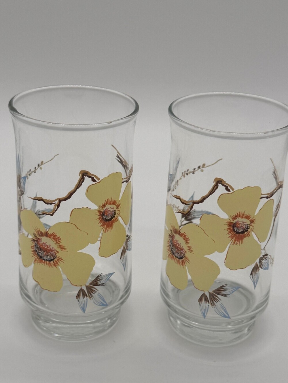 Vintage Apple Blossom Drinking Glasses (Set of 2)